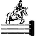 sportshorsejumping